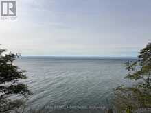 388 BLYTH PARK ROAD | Alnwick-Haldimand Ontario | Slide Image Thirty-eight