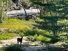 8101 KINGS RIVER ROAD | Washago Ontario | Slide Image Thirty-two