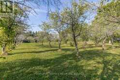 3515 SIDEROAD 10 | Bradford West Gwillimbury Ontario | Slide Image Thirty-three