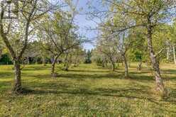 3515 SIDEROAD 10 | Bradford West Gwillimbury Ontario | Slide Image Thirty-four