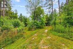 9307 9 SIDE ROAD | Erin Ontario | Slide Image Forty