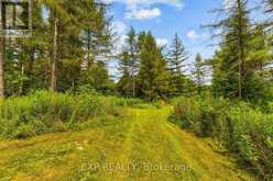 9307 9 SIDE ROAD | Erin Ontario | Slide Image Forty-two