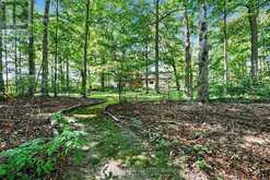 18061 HIGHWAY 48 | East Gwillimbury Ontario | Slide Image Forty-seven