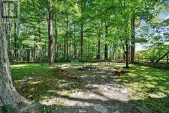18061 HIGHWAY 48 | East Gwillimbury Ontario | Slide Image Forty-six