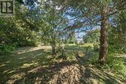 LOT 21 PART 1 POLVA PROMENADE | Georgina Ontario | Slide Image Twenty-five