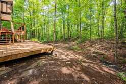 110 FIRE ROUTE 367 | Kawartha Lakes Ontario | Slide Image Seven