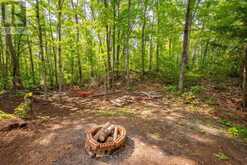 110 FIRE ROUTE 367 | Kawartha Lakes Ontario | Slide Image Nine