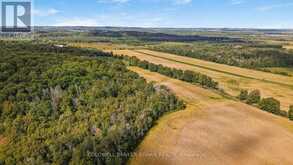 3182 CONCESSION ROAD 5 | Adjala-Tosorontio Ontario | Slide Image Thirteen