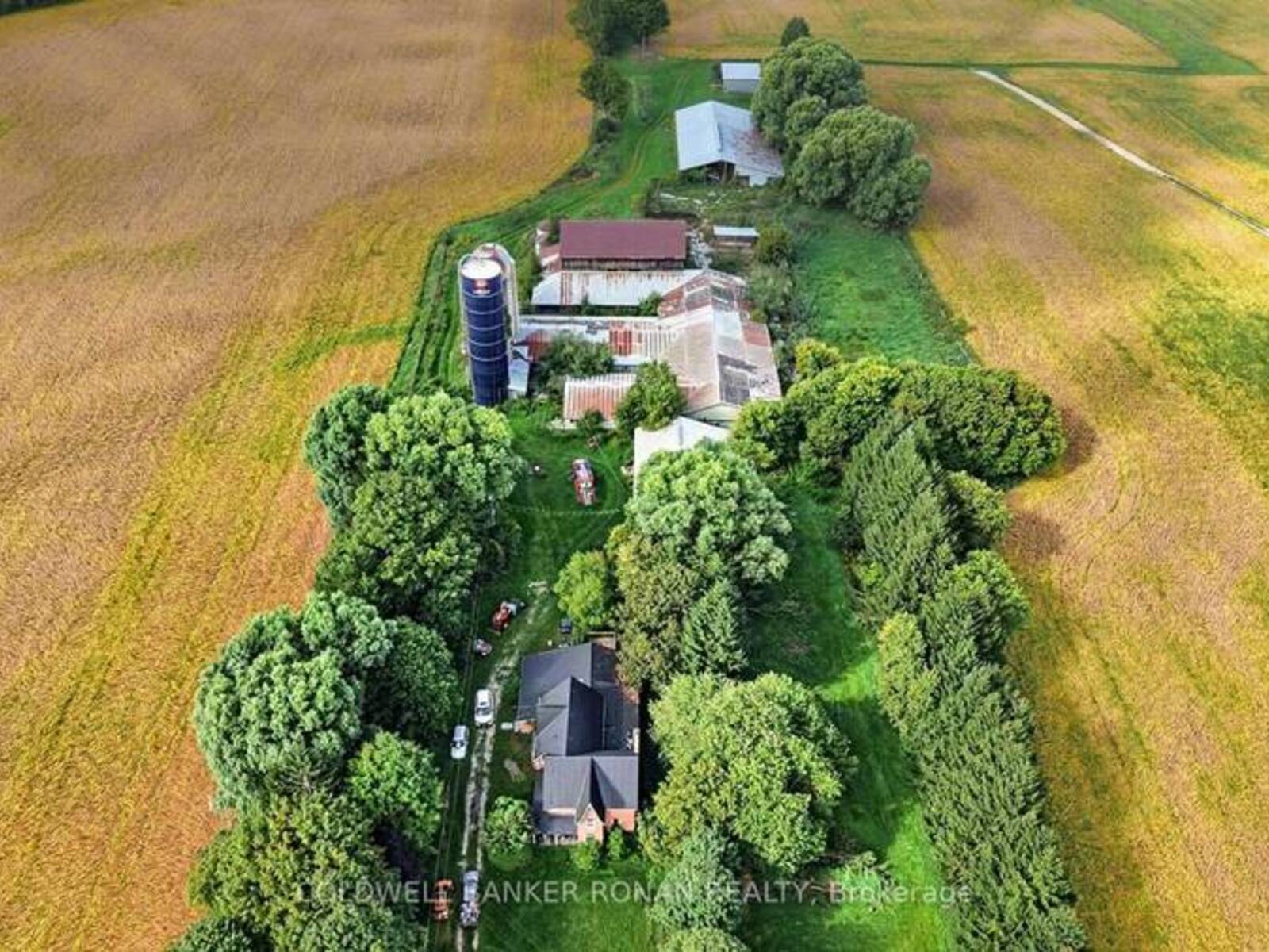3182 CONCESSION ROAD 5, Adjala-Tosorontio, Ontario L0G 1L0