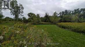 V/L COUNTY ROAD 46 ROAD | Lakeshore Ontario | Slide Image Two