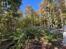 0 ISLAND LAKE, LOT 23 ROAD | Kearney Ontario | Slide Image Seven