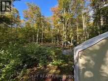 0 ISLAND LAKE, LOT 23 ROAD | Kearney Ontario | Slide Image Eight