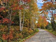 116 NORTH DEER LAKE ROAD | Huntsville Ontario | Slide Image Forty-seven