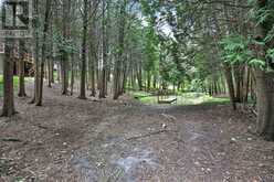 502 TOWNLINE ROAD | Ashburn Ontario | Slide Image Thirty-five