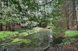 502 TOWNLINE ROAD | Ashburn Ontario | Slide Image Thirty-eight
