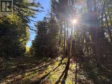 63 BUNNY TRAIL | McDougall Ontario | Slide Image Ten
