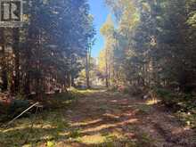 63 BUNNY TRAIL | McDougall Ontario | Slide Image Twelve