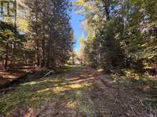 63 BUNNY TRAIL | McDougall Ontario | Slide Image Thirteen