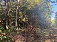 63 BUNNY TRAIL | McDougall Ontario | Slide Image One