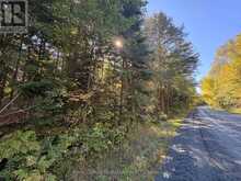 63 BUNNY TRAIL | McDougall Ontario | Slide Image Four