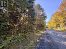 63 BUNNY TRAIL | McDougall Ontario | Slide Image Five