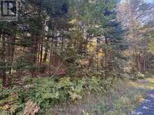 63 BUNNY TRAIL | McDougall Ontario | Slide Image Six