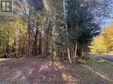 63 BUNNY TRAIL | McDougall Ontario | Slide Image Seven