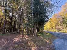 63 BUNNY TRAIL | McDougall Ontario | Slide Image Eight