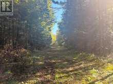 63 BUNNY TRAIL | McDougall Ontario | Slide Image Nine