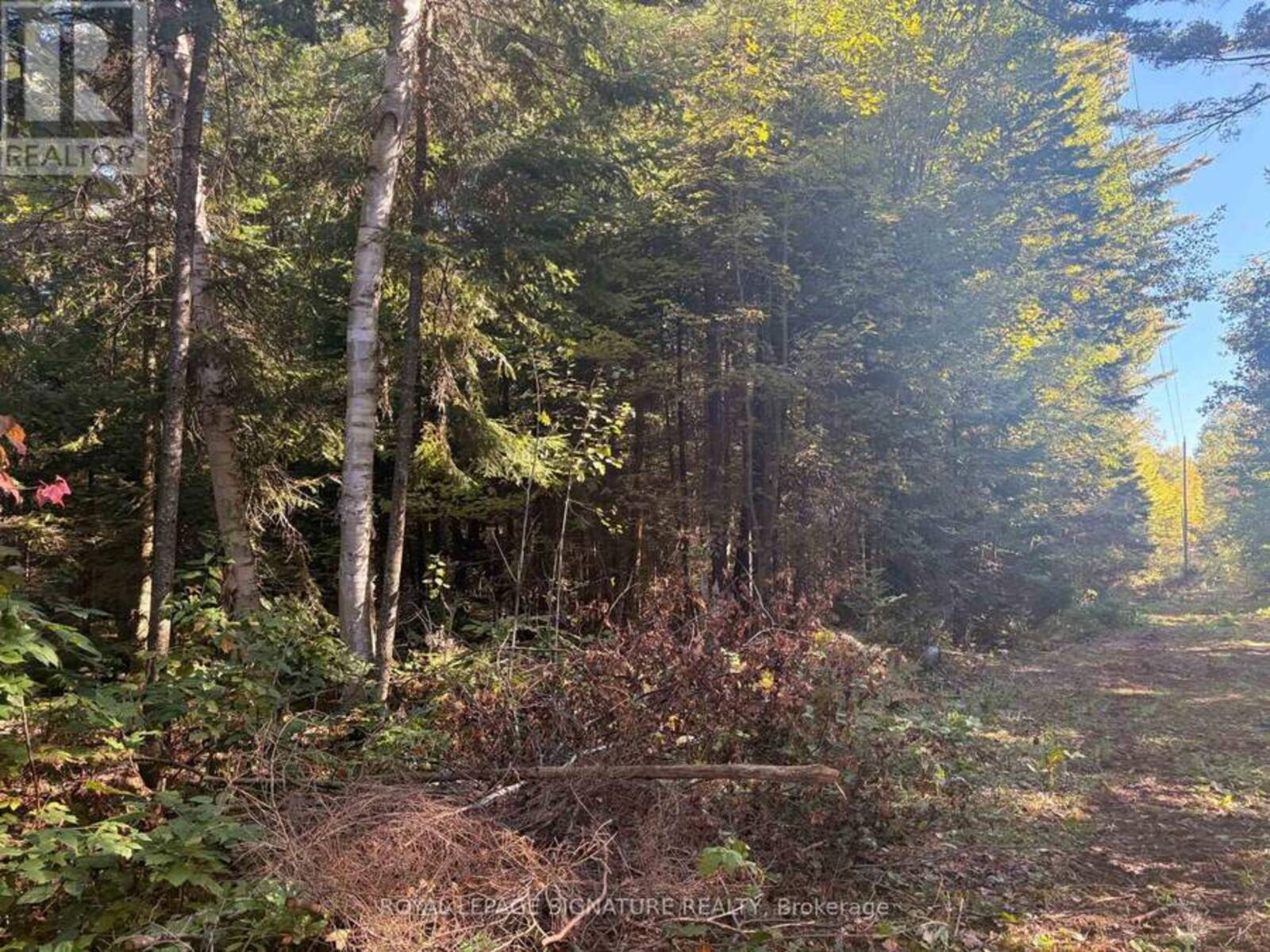 63 BUNNY TRAIL, McDougall, Ontario P2A 2W7