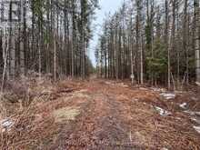 B1780 THORAH CONCESSION 3 ROAD | Brock Ontario | Slide Image Four