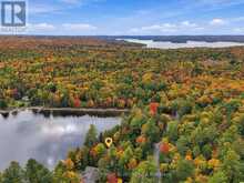 1424 REDKENN ROAD | Haliburton Ontario | Slide Image Forty-six
