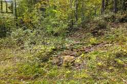 PT 23 & 24 4 CONCESSION | Haliburton Ontario | Slide Image Ten