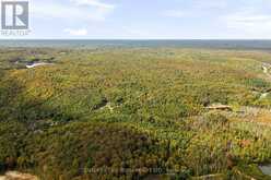 PT 23 & 24 4 CONCESSION | Haliburton Ontario | Slide Image Fifteen