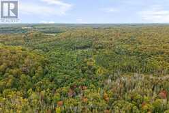 PT 23 & 24 4 CONCESSION | Haliburton Ontario | Slide Image Five