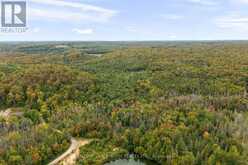 PT 23 & 24 4 CONCESSION | Haliburton Ontario | Slide Image Six