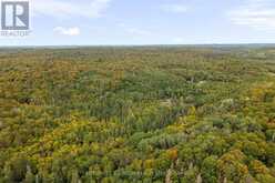 PT 23 & 24 4 CONCESSION | Haliburton Ontario | Slide Image Nine