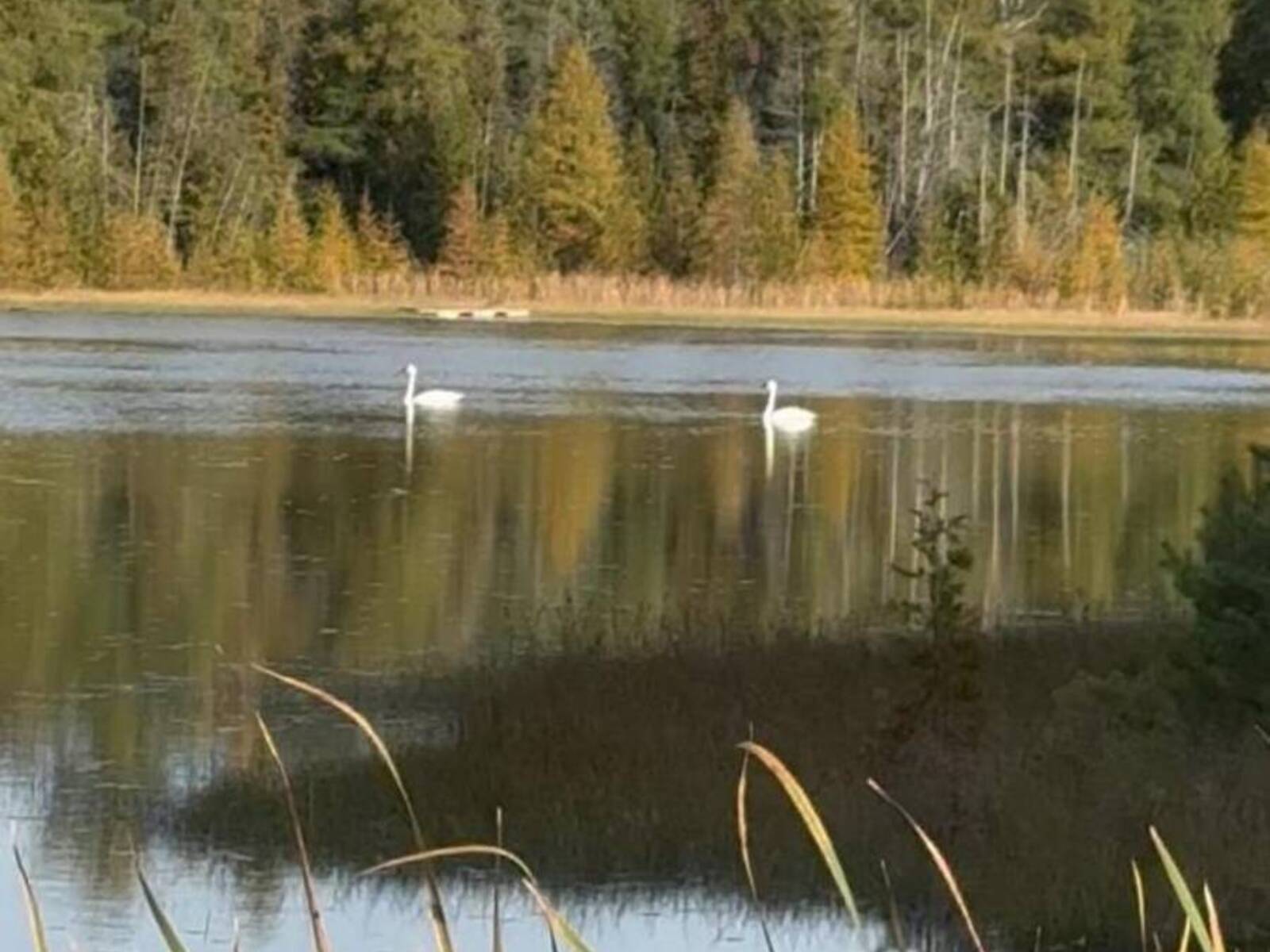 580223 SIDEROAD 60, Chatsworth, Ontario N0H 1C0