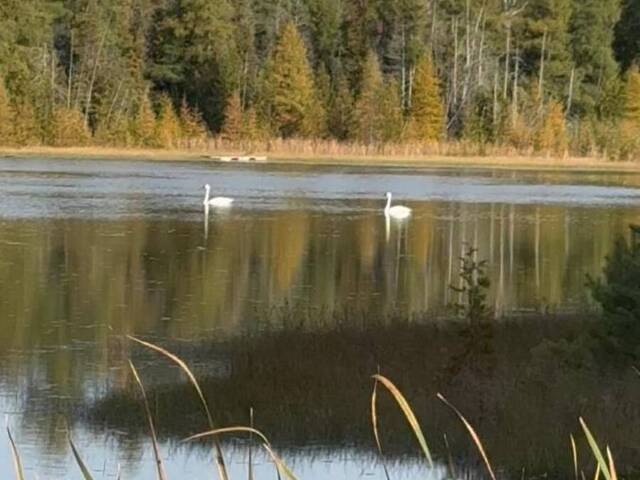 580223 SIDEROAD 60 Chatsworth Ontario, N0H 1C0 - Waterfront Land For Sale