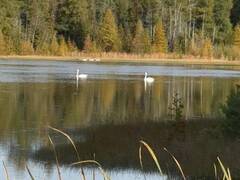 580223 SIDEROAD 60 Chatsworth Ontario, N0H 1C0