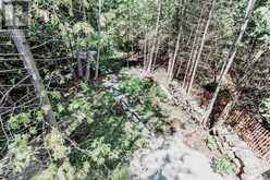 102 CAPE CHIN NORTH ROAD | Lion's Head Ontario | Slide Image Forty-four