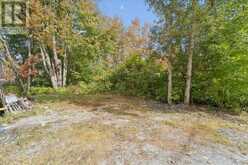 2509 TALBOT LANE | Ramara Ontario | Slide Image Forty-four
