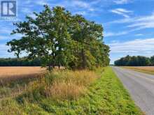 VL KINGS ROW | Dunnville Ontario | Slide Image Two