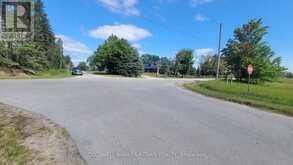 6703 PINE PLAINS ROAD E | Adjala-Tosorontio Ontario | Slide Image Twenty-three