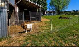 6703 PINE PLAINS ROAD E | Adjala-Tosorontio Ontario | Slide Image Nine