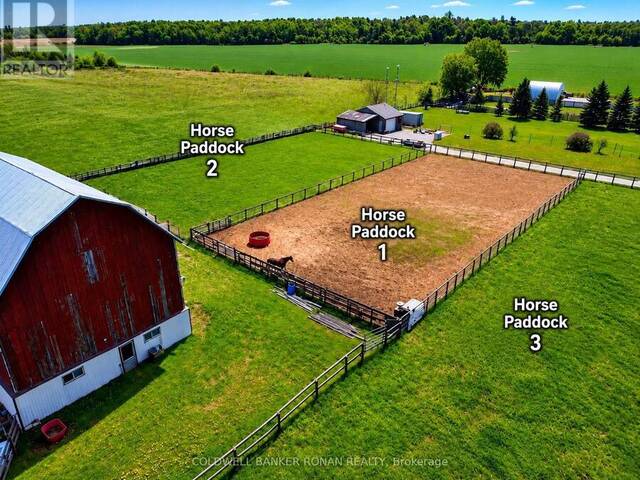 6703 PINE PLAINS ROAD E Adjala-Tosorontio Ontario, L0M 1J0 - Farm For Sale
