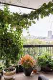 706 - 115 ANTIBES DRIVE | Toronto Ontario | Slide Image Twenty-five