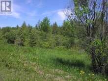 PARCEL 4217 WILLIAMSON TOWNSHIP | Kapuskasing Ontario | Slide Image Two