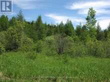 PARCEL 4217 WILLIAMSON TOWNSHIP | Kapuskasing Ontario | Slide Image Three