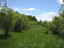 PARCEL 4217 WILLIAMSON TOWNSHIP | Kapuskasing Ontario | Slide Image Six